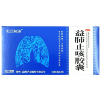 红云制药飞云岭益肺止咳胶囊24粒养阴润肺止咳祛痰支气管炎