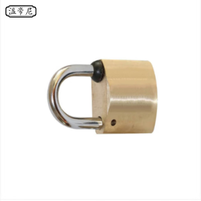 温帝尼WDNGS-40H 铜 40mm 挂锁 1.00 个/把 (计价单位:把) 黄色