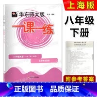 英语 八年级下 [正版]2023华东师大版一课一练 英语N牛津版 八年级第二学期/8年级下 华东师范大学出版社 上海版配