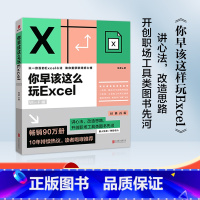 [正版]你早该这么玩Excel:Wi-Fi版