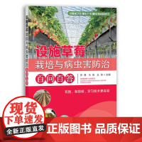 设施葡萄栽培与病虫害防治百问百答 9787109292345 设施园艺作物生产关键技术问答丛书