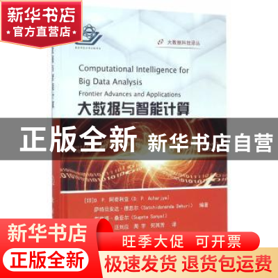 正版 大数据与智能计算
