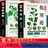 [正版]全2册 伤寒论+金匮要略 伤寒论张仲景原著白话文中草药彩色图鉴大全书籍注解版中医养生书伤寒杂病论辑义全套