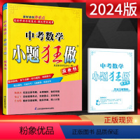 数学 全国通用 [正版]2024版 小题狂做提优版中考数学 中考全程复习强化冲刺精准提优专项专题训练辅导资料练习册直击中