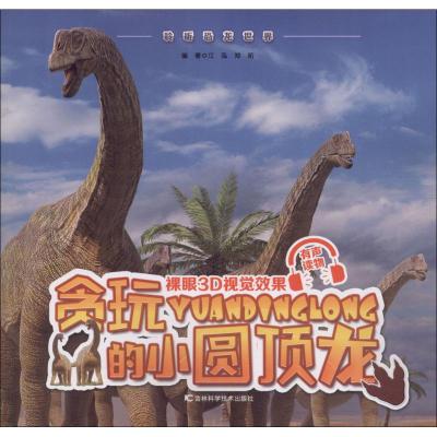 贪玩的小圆顶龙