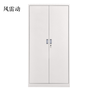风雷动钢制资料柜档案柜财务凭证柜带锁储物柜铁皮柜书柜铁开门文件柜