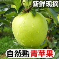 [西沛生鲜]云南新鲜青苹果 净重5斤 大果 单果70-75mm 脆甜可口