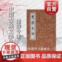 楚辞今注 中国古典文学丛书正版书籍 宋代洪兴祖楚辞补注为底本重新作注 古典文学古籍今注今译 上海古籍出版社