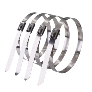 好企来 不锈钢扎带 BZ-0104 8*200mm 100条/包