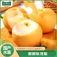 [苏鲜生]新鲜山东秋月梨 净重3斤单果250g+ 新鲜当季水果 现摘现发