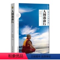 [正版]拍下即发 大圆满前行:普贤上师言教 华智仁波切大圆满前行引导文 372页