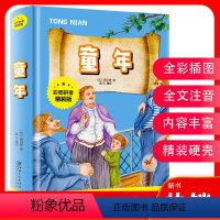 [正版]彩图拼音精装版童年儿童文学名著小学生课外阅读书拓展课外知识的辅助心灵阅读一二年级孩子世界名著少儿外国文学名著