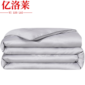 亿洛莱 冬被 150*200cm约8斤 床