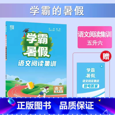[5升6年级]语文阅读集训 小学通用 [正版]2023小学学霸暑假衔接作业一升二升三生四暑期五六一年级二年级下册署假预科