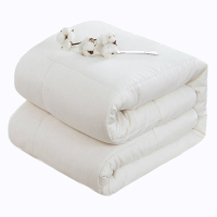 亚博娜 6斤垫絮套装(含垫絮套) DX-12 120*200cm 套