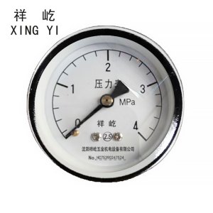 祥屹 压力表检测定制型 Y50Z 块