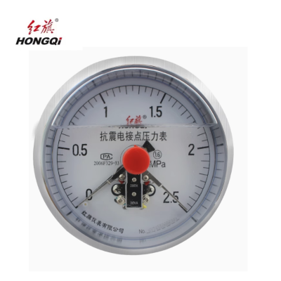 红旗 耐震磁助式电接点压力表检测款 YTNXC-100ZT (备注压力值) 块