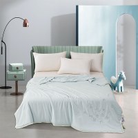 安琪尔家纺冰洁柔肤绣花夏凉被200*230条