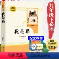 [九下 人教版]我是猫 [正版]艾青诗选和水浒传 原著完整版人民教育出版社九年级阅读名著人教版初中生全套配套 9上册初三