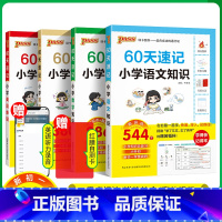 [速记套装推荐]语数英+单词全套4本 小学升初中 [正版]2024新版60天速记小学语文知识数学思维训练英语单词语法小升