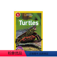 [正版]进口英文原版 National Geographic Readers: Turtles 全彩插画 美国国家地理