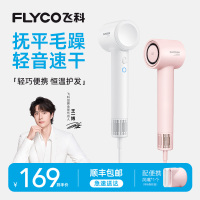 飞科(FLYCO)家用电吹风高速吹风机高浓度负离子护发大风力速干便携低噪音吹风筒FH6370 樱花粉
