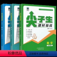 [数学]尖子生课时培优 七年级/初中一年级 [正版]2024奥赛王尖子生课时培优 数学七年级八年级九年级数学培优训练初中