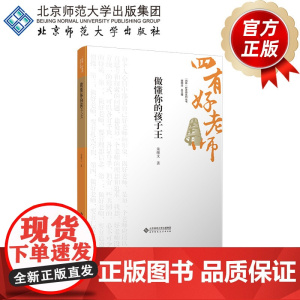 做懂你的孩子王 9787303301324 朱继文 著 “四有”好老师系列丛书 北京师范大学出版
