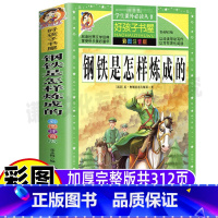 钢铁是怎样炼成的 [正版]钢铁是怎样炼成的无删减小学生儿童彩图美绘注音版一二三年级上下册通用必读课外书黑龙江美术出版社名