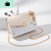 包包女2020新款韩版ins网红单肩斜挎包时尚百搭链条包学生手机包NEW LAKE女斜挎包