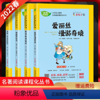 快乐都市吧 六年级下 [正版]2022春 快乐读书吧六年级下册爱丽丝漫游奇境骑鹅旅行记汤姆.索亚历险记鲁滨逊漂流记四本套