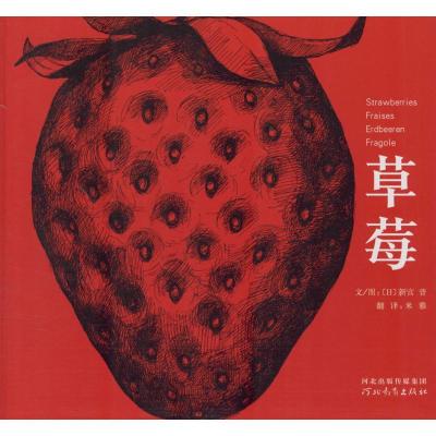 正版新书]草莓新宫晋9787543478831
