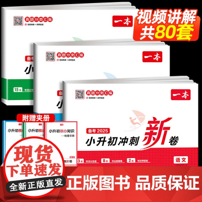 2025新一本小升初冲刺新卷语文数学英语全套部编人教版真题卷同步试卷测试卷人教六年级下册卷子期中期末单元卷检测总复习升学
