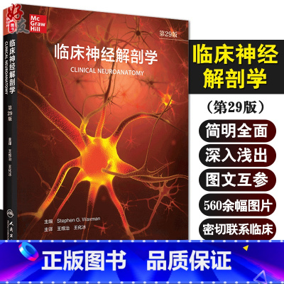 [正版]临床神经解剖学 第29版 神经内外科医师专业基础教科书 神经病精神病学书籍 王维治 王化冰 主译9787117