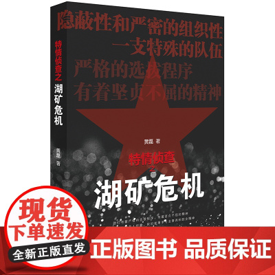 特情侦查之湖矿危机 黄磊著 法律出版社