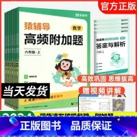 高频易错题+高频附加题 一年级上 [正版]2024新版高频附加题小学数学一二三四五六年级年级上下册数学思维训练专项提升学