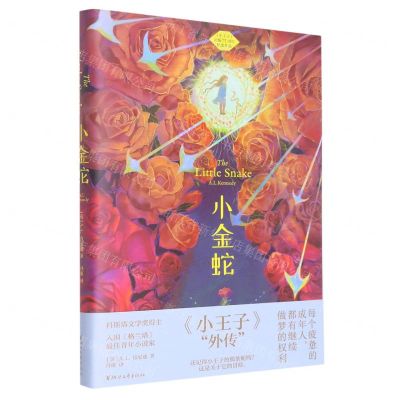 [N]小金蛇(精)-9787533968908