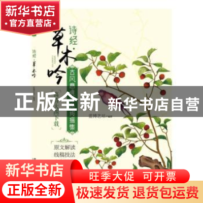 正版 古风意境涂色线描集:诗经?草木吟 蓝博艺站 中国铁道出版社