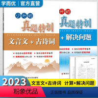 [2本套装]计算+文言文 小学六年级 [正版]2023新版小升初真题特训文言文+古诗词计算+解决问题精选各地名校考题分班