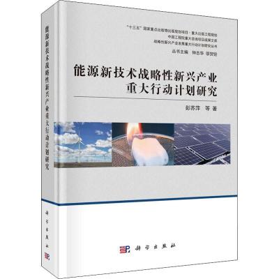 能源新技术战略性新兴产业重大行动计划研究