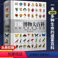 [DK系列]博物大百科 [正版]dk博物大百科中文 dk儿童百科全书汽车动物恐龙植物生物我们的身体自然科普书籍系列一二三