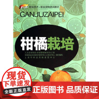 柑橘栽培