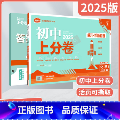 化学[人教版] 九年级下 [正版]2025适用初中上分卷单元诊断自查九年级下册化学人教版9年级下月考期中期末上分集训期末