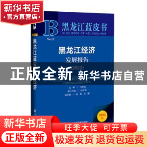 正版 黑龙江经济发展报告(2022) 闫修成主编 社会科学文献出版社