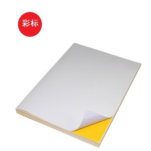 彩标 哑光打印专用标贴 厚度0.185MM VI-CTK700 (银色 )7年户外抗老化防撕破