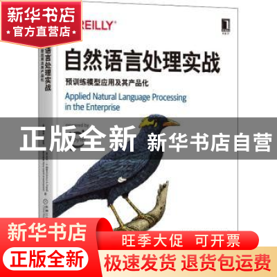 正版 自然语言处理实战:预训练模型应用及其产品化 (美)安库·A.