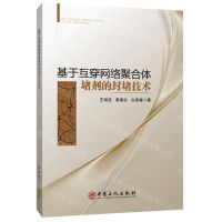 [N]基于互穿网络聚合体堵剂的封堵技术-9787511467942