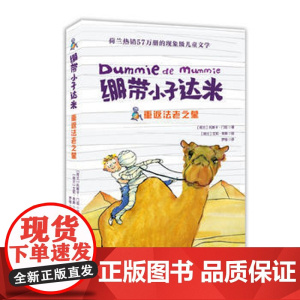 重返法老之墓 绷带小子达米系列寒暑假 书6-9-12岁儿童冒险小说 荷兰儿童文学国外获奖文学童书 校园阅读课外读物 冒险