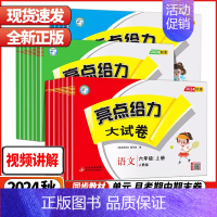 2本-[语文人教+数学苏教] 三年级上 [正版]2024秋亮点给力大试卷江苏版人教版苏教版小学一二三四五六年级上册试卷测