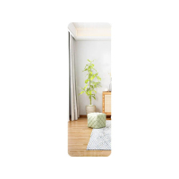 翌嘉YJ-CYJ-31 全身镜家用家用可移动等身墙面女装店试衣舞蹈化妆落地镜 白色 650*1700